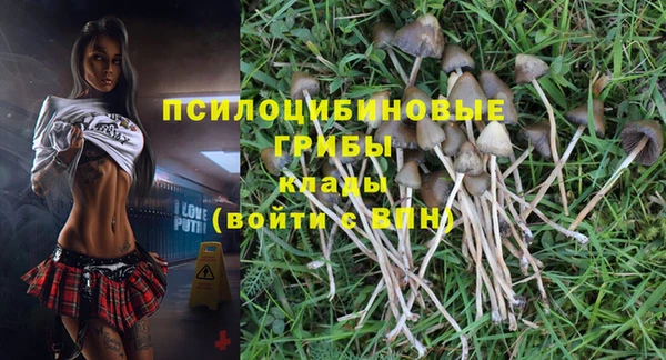 спайс Медногорск