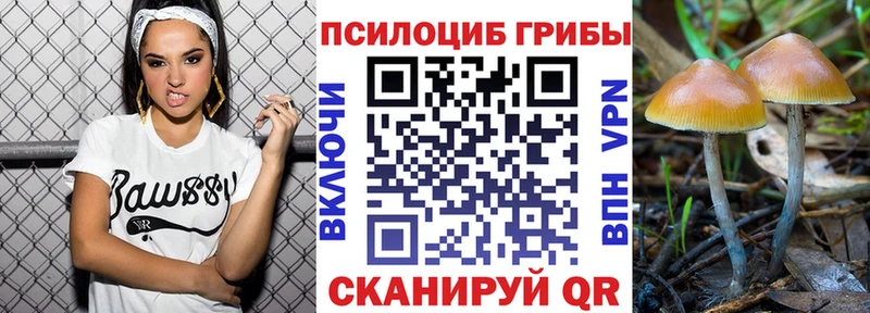 Галлюциногенные грибы Psilocybe  Южноуральск 